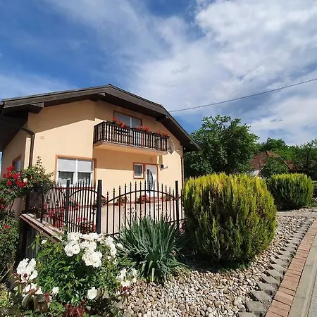 Apartman Robert - Apartmani Barsic Duga Resa Exterior photo